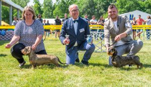 Papa 2022 dogshow nevezési lap entry form FCI dogshow Pápa CACIB Esterhazy Memorial CACIB Dalmata és Kopó Club Show HTME CLUB SHOW CTPE CLUB SHOW MRVE – Hungarian Retriever & Waterdog CAC Clubshow
