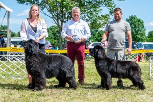 Papa 2022 dogshow nevezési lap entry form FCI dogshow Pápa CACIB Esterhazy Memorial CACIB Dalmata és Kopó Club Show HTME CLUB SHOW CTPE CLUB SHOW MRVE – Hungarian Retriever & Waterdog CAC Clubshow