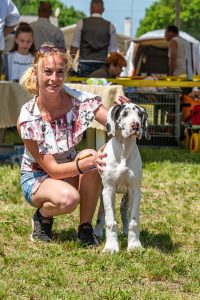 Papa 2022 dogshow nevezési lap entry form FCI dogshow Pápa CACIB Esterhazy Memorial CACIB Dalmata és Kopó Club Show HTME CLUB SHOW CTPE CLUB SHOW MRVE – Hungarian Retriever & Waterdog CAC Clubshow
