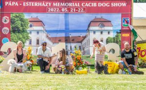 Papa 2022 dogshow nevezési lap entry form FCI dogshow Pápa CACIB Esterhazy Memorial CACIB Dalmata és Kopó Club Show HTME CLUB SHOW CTPE CLUB SHOW MRVE – Hungarian Retriever & Waterdog CAC Clubshow