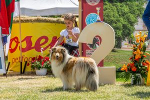 Papa 2022 dogshow nevezési lap entry form FCI dogshow Pápa CACIB Esterhazy Memorial CACIB Dalmata és Kopó Club Show HTME CLUB SHOW CTPE CLUB SHOW MRVE – Hungarian Retriever & Waterdog CAC Clubshow