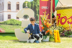Papa 2022 dogshow nevezési lap entry form FCI dogshow Pápa CACIB Esterhazy Memorial CACIB Dalmata és Kopó Club Show HTME CLUB SHOW CTPE CLUB SHOW MRVE – Hungarian Retriever & Waterdog CAC Clubshow