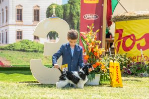 Papa 2022 dogshow nevezési lap entry form FCI dogshow Pápa CACIB Esterhazy Memorial CACIB Dalmata és Kopó Club Show HTME CLUB SHOW CTPE CLUB SHOW MRVE – Hungarian Retriever & Waterdog CAC Clubshow