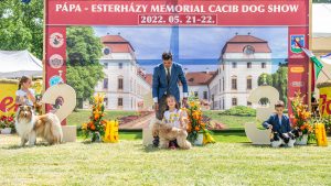Papa 2022 dogshow nevezési lap entry form FCI dogshow Pápa CACIB Esterhazy Memorial CACIB Dalmata és Kopó Club Show HTME CLUB SHOW CTPE CLUB SHOW MRVE – Hungarian Retriever & Waterdog CAC Clubshow