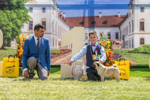 Papa 2022 dogshow nevezési lap entry form FCI dogshow Pápa CACIB Esterhazy Memorial CACIB Dalmata és Kopó Club Show HTME CLUB SHOW CTPE CLUB SHOW MRVE – Hungarian Retriever & Waterdog CAC Clubshow