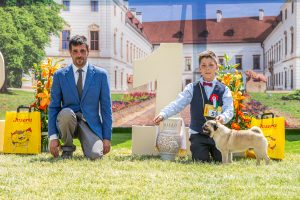 Papa 2022 dogshow nevezési lap entry form FCI dogshow Pápa CACIB Esterhazy Memorial CACIB Dalmata és Kopó Club Show HTME CLUB SHOW CTPE CLUB SHOW MRVE – Hungarian Retriever & Waterdog CAC Clubshow