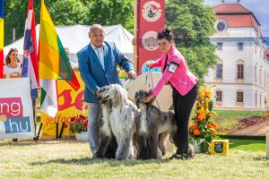 Papa 2022 dogshow nevezési lap entry form FCI dogshow Pápa CACIB Esterhazy Memorial CACIB Dalmata és Kopó Club Show HTME CLUB SHOW CTPE CLUB SHOW MRVE – Hungarian Retriever & Waterdog CAC Clubshow