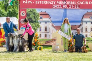 Papa 2022 dogshow nevezési lap entry form FCI dogshow Pápa CACIB Esterhazy Memorial CACIB Dalmata és Kopó Club Show HTME CLUB SHOW CTPE CLUB SHOW MRVE – Hungarian Retriever & Waterdog CAC Clubshow