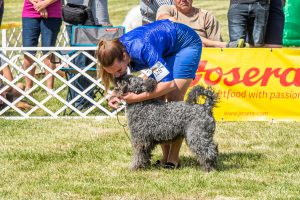 Papa 2022 dogshow nevezési lap entry form FCI dogshow Pápa CACIB Esterhazy Memorial CACIB Dalmata és Kopó Club Show HTME CLUB SHOW CTPE CLUB SHOW MRVE – Hungarian Retriever & Waterdog CAC Clubshow