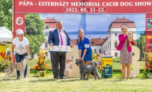 Papa 2022 dogshow nevezési lap entry form FCI dogshow Pápa CACIB Esterhazy Memorial CACIB Dalmata és Kopó Club Show HTME CLUB SHOW CTPE CLUB SHOW MRVE – Hungarian Retriever & Waterdog CAC Clubshow