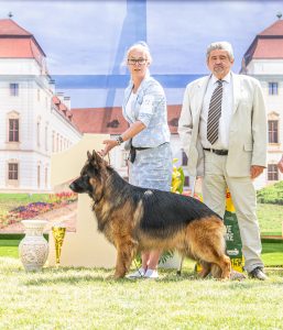 Papa 2022 dogshow nevezési lap entry form FCI dogshow Pápa CACIB Esterhazy Memorial CACIB Dalmata és Kopó Club Show HTME CLUB SHOW CTPE CLUB SHOW MRVE – Hungarian Retriever & Waterdog CAC Clubshow