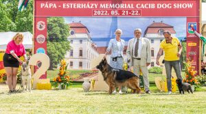 Papa 2022 dogshow nevezési lap entry form FCI dogshow Pápa CACIB Esterhazy Memorial CACIB Dalmata és Kopó Club Show HTME CLUB SHOW CTPE CLUB SHOW MRVE – Hungarian Retriever & Waterdog CAC Clubshow