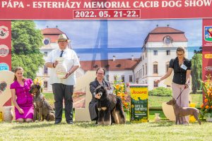 Papa 2022 dogshow nevezési lap entry form FCI dogshow Pápa CACIB Esterhazy Memorial CACIB Dalmata és Kopó Club Show HTME CLUB SHOW CTPE CLUB SHOW MRVE – Hungarian Retriever & Waterdog CAC Clubshow