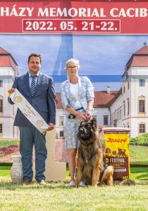 Papa 2022 dogshow nevezési lap entry form FCI dogshow Pápa CACIB Esterhazy Memorial CACIB Dalmata és Kopó Club Show HTME CLUB SHOW CTPE CLUB SHOW MRVE – Hungarian Retriever & Waterdog CAC Clubshow