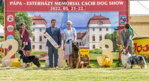 Papa 2022 dogshow nevezési lap entry form FCI dogshow Pápa CACIB Esterhazy Memorial CACIB Dalmata és Kopó Club Show HTME CLUB SHOW CTPE CLUB SHOW MRVE – Hungarian Retriever & Waterdog CAC Clubshow