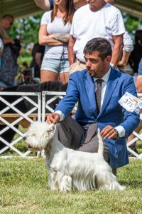 Papa 2022 dogshow nevezési lap entry form FCI dogshow Pápa CACIB Esterhazy Memorial CACIB Dalmata és Kopó Club Show HTME CLUB SHOW CTPE CLUB SHOW MRVE – Hungarian Retriever & Waterdog CAC Clubshow