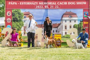 Papa 2022 dogshow nevezési lap entry form FCI dogshow Pápa CACIB Esterhazy Memorial CACIB Dalmata és Kopó Club Show HTME CLUB SHOW CTPE CLUB SHOW MRVE – Hungarian Retriever & Waterdog CAC Clubshow