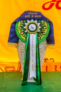 Papa 2022 dogshow nevezési lap entry form FCI dogshow Pápa CACIB Esterhazy Memorial CACIB Dalmata és Kopó Club Show HTME CLUB SHOW CTPE CLUB SHOW MRVE – Hungarian Retriever & Waterdog CAC Clubshow