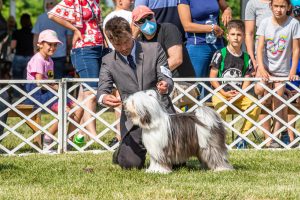 Papa 2022 dogshow nevezési lap entry form FCI dogshow Pápa CACIB Esterhazy Memorial CACIB Dalmata és Kopó Club Show HTME CLUB SHOW CTPE CLUB SHOW MRVE – Hungarian Retriever & Waterdog CAC Clubshow