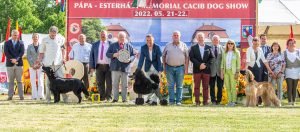 Papa 2022 dogshow nevezési lap entry form FCI dogshow Pápa CACIB Esterhazy Memorial CACIB Dalmata és Kopó Club Show HTME CLUB SHOW CTPE CLUB SHOW MRVE – Hungarian Retriever & Waterdog CAC Clubshow