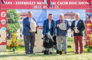 Papa 2022 dogshow nevezési lap entry form FCI dogshow Pápa CACIB Esterhazy Memorial CACIB Dalmata és Kopó Club Show HTME CLUB SHOW CTPE CLUB SHOW MRVE – Hungarian Retriever & Waterdog CAC Clubshow