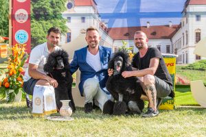 Papa 2022 dogshow nevezési lap entry form FCI dogshow Pápa CACIB Esterhazy Memorial CACIB Dalmata és Kopó Club Show HTME CLUB SHOW CTPE CLUB SHOW MRVE – Hungarian Retriever & Waterdog CAC Clubshow