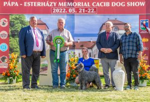 Papa 2022 dogshow nevezési lap entry form FCI dogshow Pápa CACIB Esterhazy Memorial CACIB Dalmata és Kopó Club Show HTME CLUB SHOW CTPE CLUB SHOW MRVE – Hungarian Retriever & Waterdog CAC Clubshow