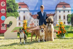 Papa 2022 dogshow nevezési lap entry form FCI dogshow Pápa CACIB Esterhazy Memorial CACIB Dalmata és Kopó Club Show HTME CLUB SHOW CTPE CLUB SHOW MRVE – Hungarian Retriever & Waterdog CAC Clubshow