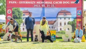 Papa 2022 dogshow nevezési lap entry form FCI dogshow Pápa CACIB Esterhazy Memorial CACIB Dalmata és Kopó Club Show HTME CLUB SHOW CTPE CLUB SHOW MRVE – Hungarian Retriever & Waterdog CAC Clubshow