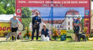 Papa 2022 dogshow nevezési lap entry form FCI dogshow Pápa CACIB Esterhazy Memorial CACIB Dalmata és Kopó Club Show HTME CLUB SHOW CTPE CLUB SHOW MRVE – Hungarian Retriever & Waterdog CAC Clubshow