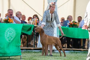Papa 2022 dogshow nevezési lap entry form FCI dogshow Pápa CACIB Esterhazy Memorial CACIB Dalmata és Kopó Club Show HTME CLUB SHOW CTPE CLUB SHOW MRVE – Hungarian Retriever & Waterdog CAC Clubshow